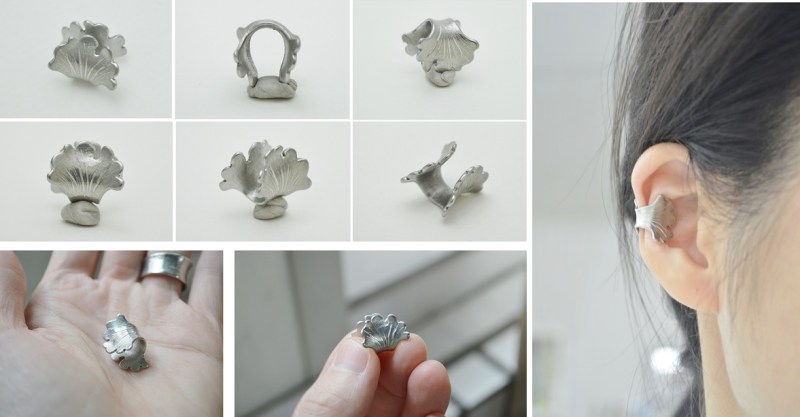 MaidenhairTreeLeaf_all_small